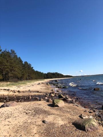 Holiday home Meelste Puhkemajad Tahkunas- Sonn Ja Lovi Tahkuna